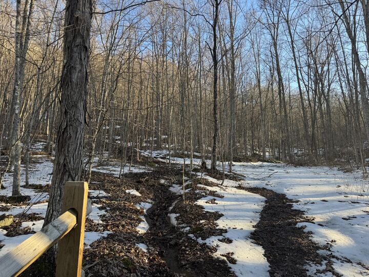 Property Photo: Tbd Leonard Long Rd WV 24966