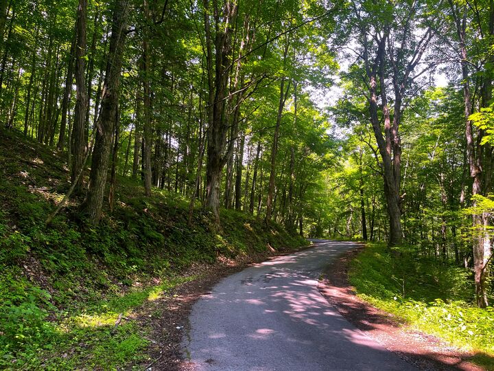 Property Photo:  Tbd Leonard Long Rd  WV 24966 