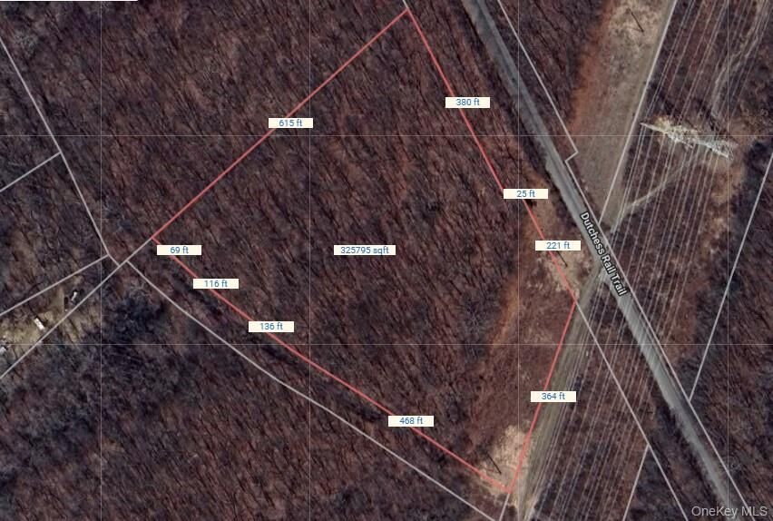 Property Photo:  Lot 337829 Rt-376  NY 12590 