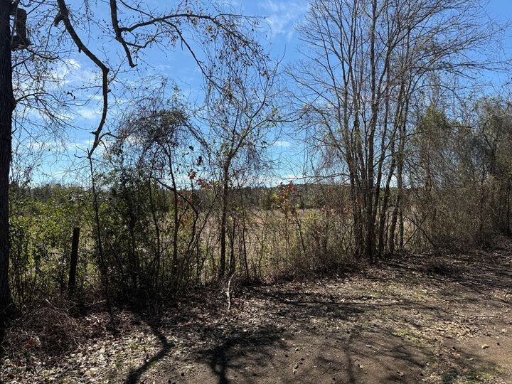 Property Photo:  R10334 Basham Road  TX 75969 