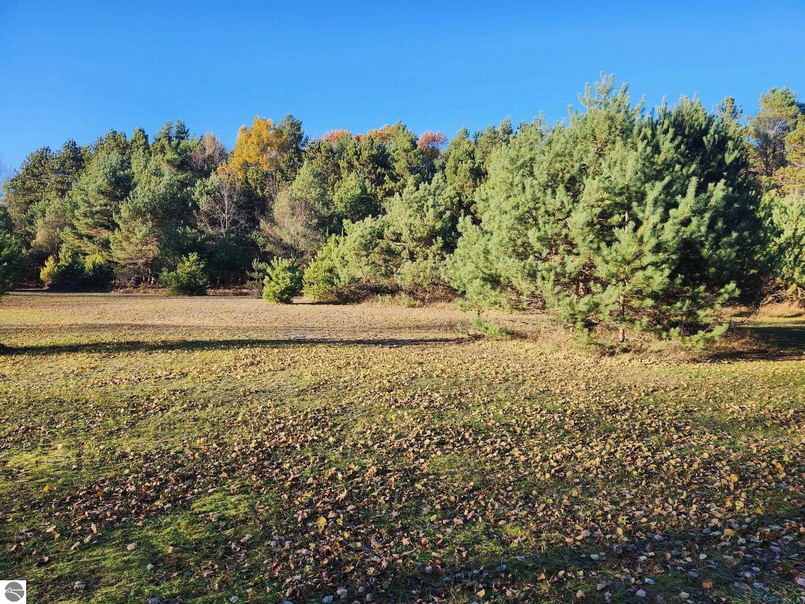 Property Photo:  Vl 9 Mile Road  MI 49645 