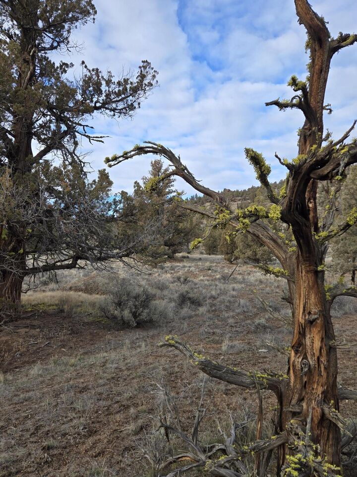 Property Photo: 10098 SE Pavati Drive Lot 36 OR 97754