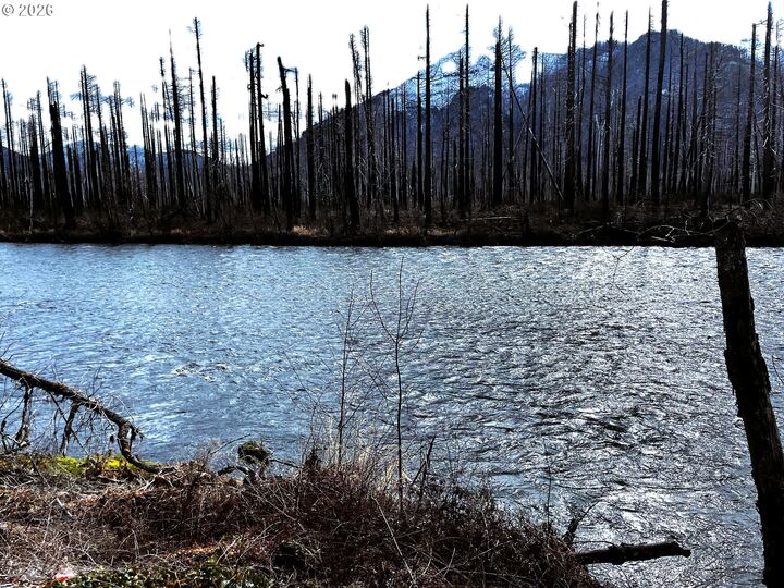 Property Photo: 52633 McKenzie Hwy OR 97413