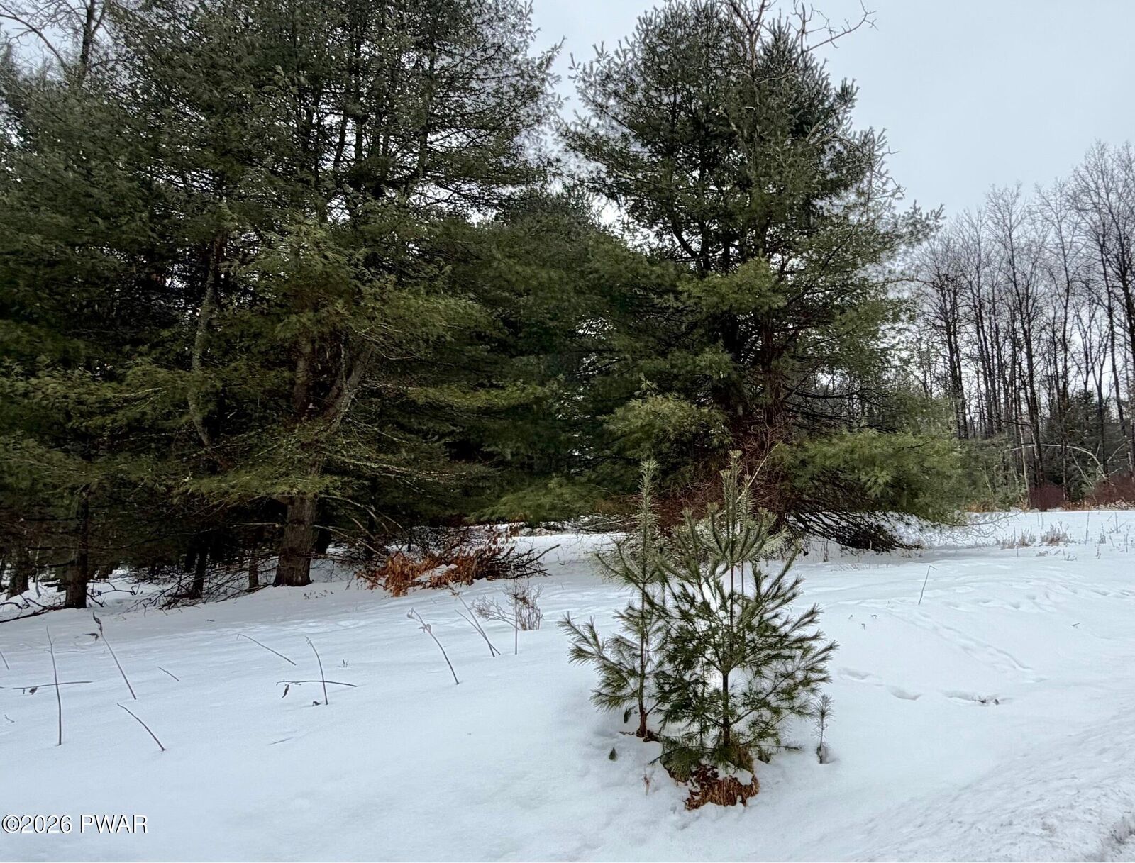 Property Photo:  Meadows Drive  PA 18428 