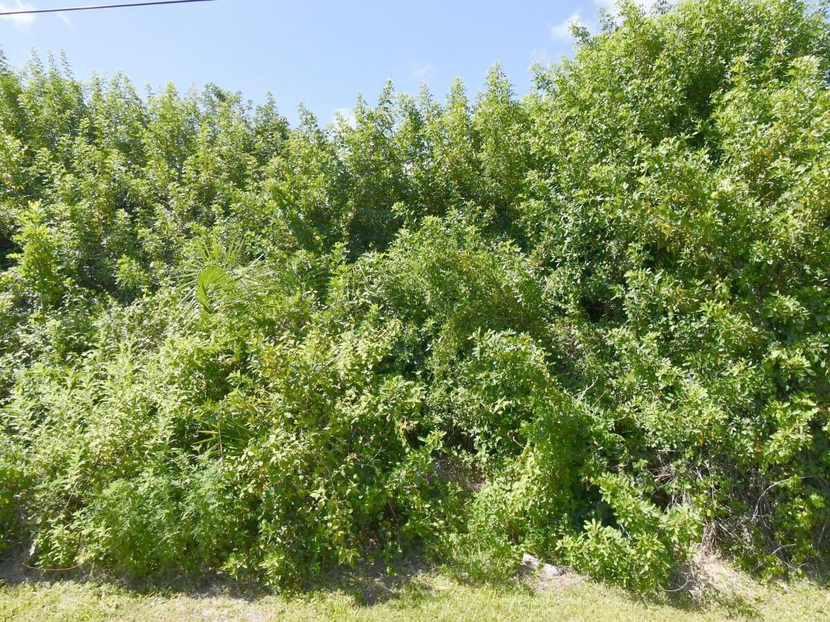 Property Photo:  4273 SW Rosser Boulevard  FL 34953 