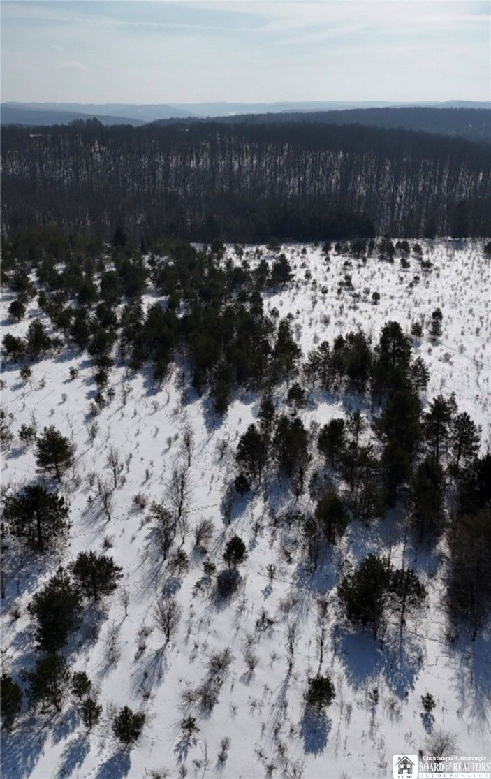 Property Photo: Reynolds Road NY 14737