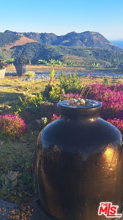 Property Photo: 1710 Decker Canyon Rd CA 90265