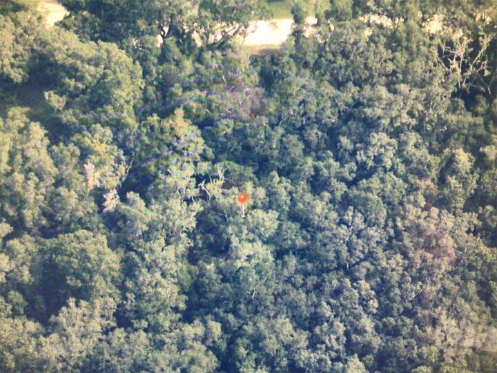 Property Photo:  0 SW 104 Street  FL 34432 