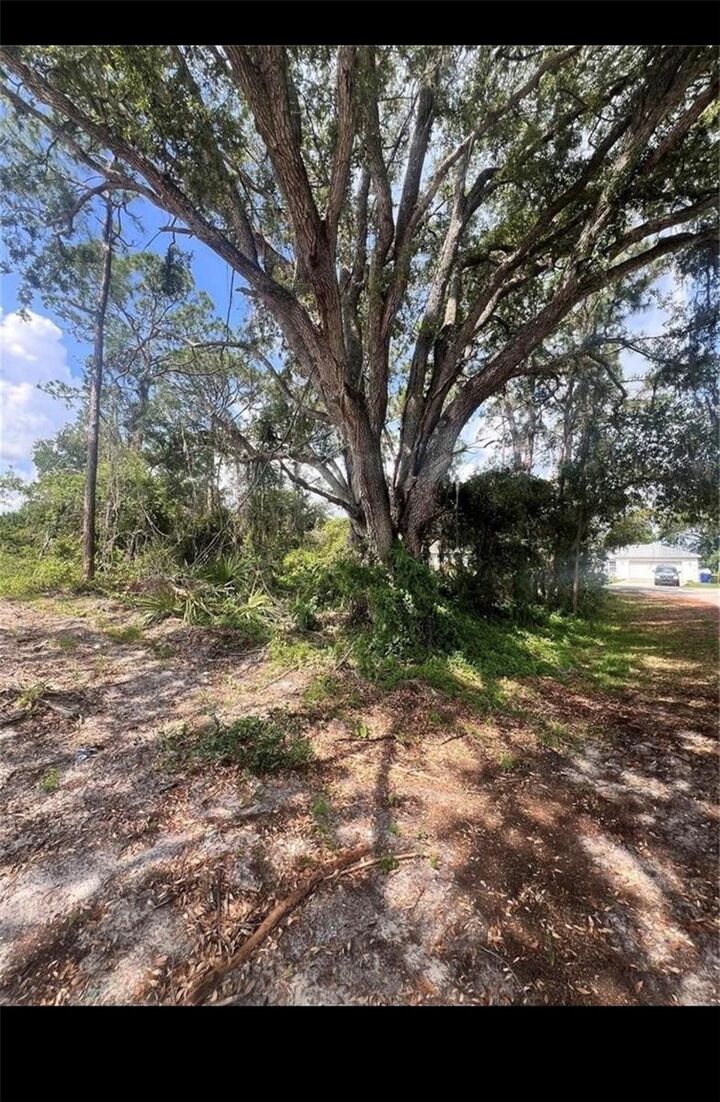 Property Photo:  4021 Simca Street  FL 33872 