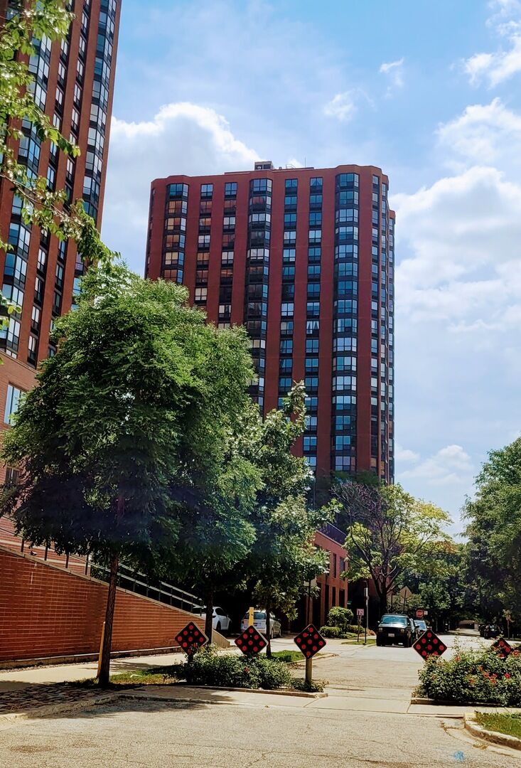 Property Photo: 899 S Plymouth Court 1907 IL 60605