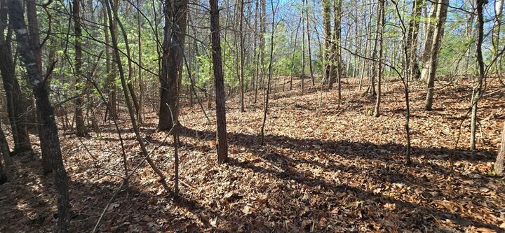 Property Photo: Lot 12 Oak Loop GA 30559