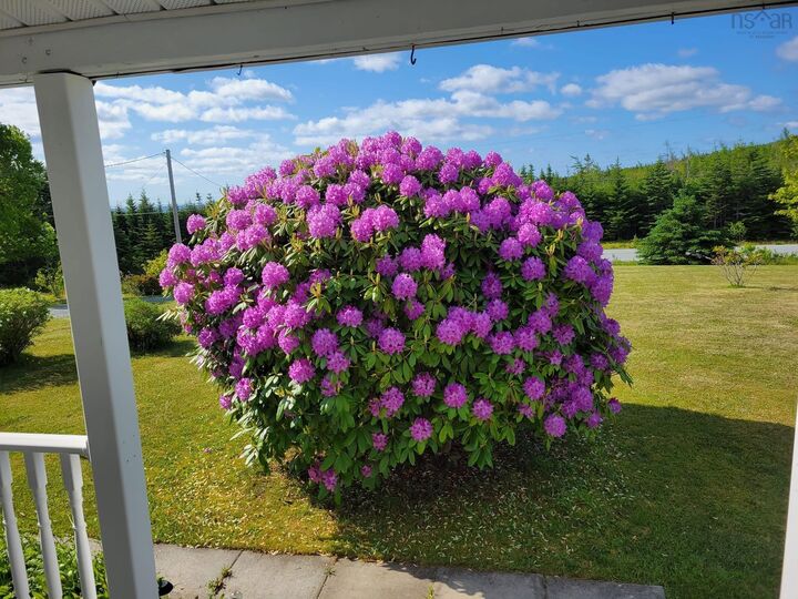 Property Photo: 24585 Highway 7 NS B0J 2R0