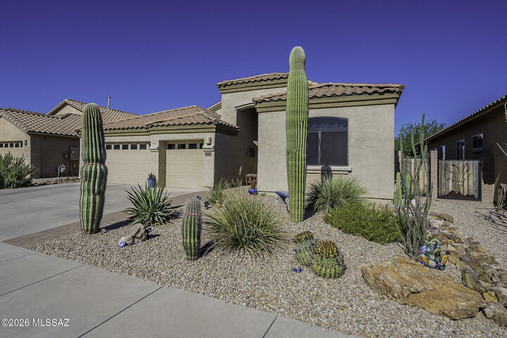 Property Photo: 8133 N High Branch Drive W AZ 85743