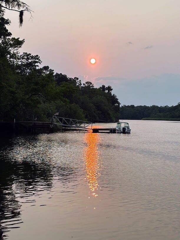 Property Photo:  90 Manning Lane  GA 31537 