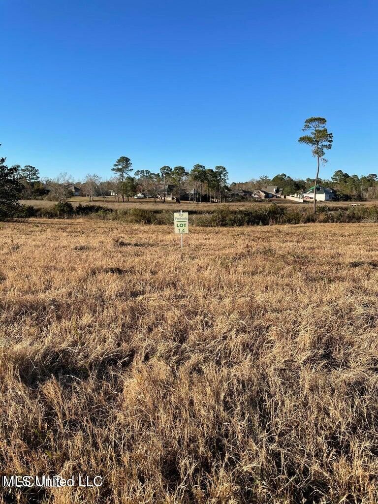 Property Photo:  Lot 14 Wetzel Drive  MS 39532 