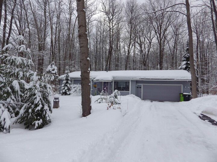 Property Photo:  1137 Reads Run Run  MI 49685 