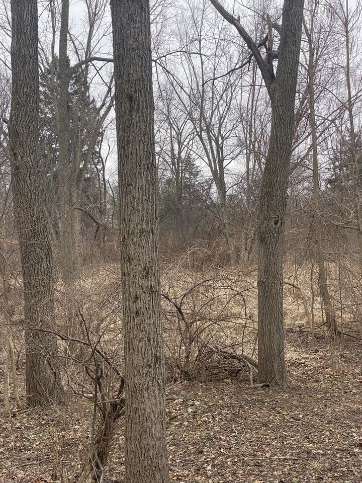 Property Photo: 21177 N Valley Road IL 60047