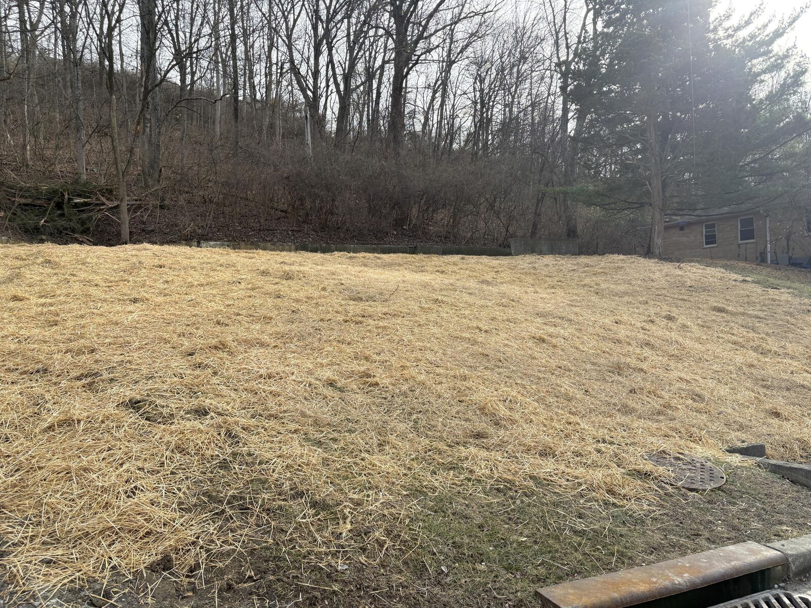 Property Photo:  59 Ohio Avenue  KY 41071 