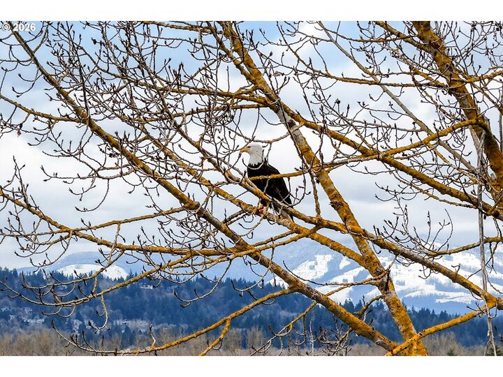 Property Photo:  3862 NE 203rd Ave  OR 97024 