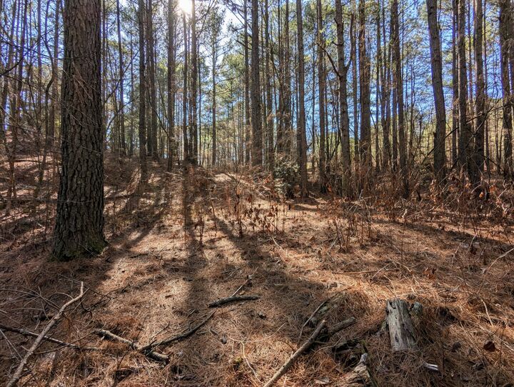 Property Photo:  106 Winding Trail  TN 37317 