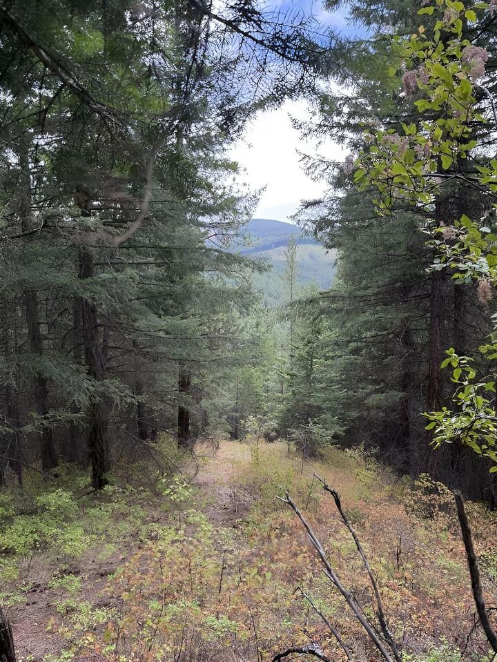 Property Photo:  34xxx N Blanchard Creek Rd  WA 99156 