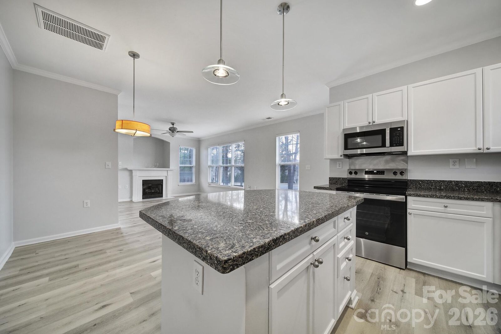 Property Photo:  15437 Coventry Court Lane  NC 28277 