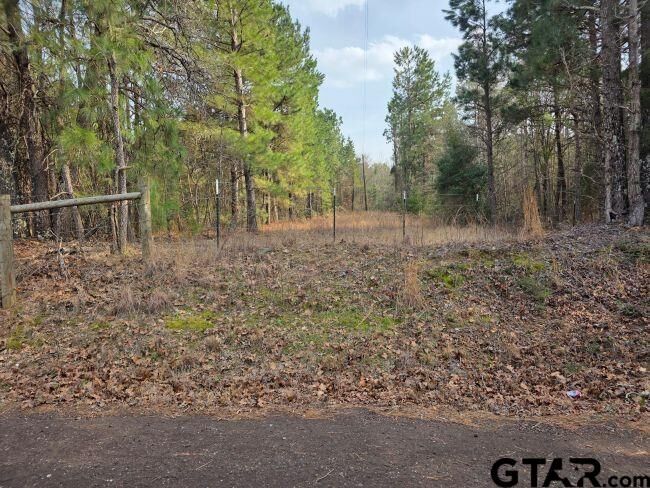 Property Photo:  Tbd 7.85 Ac Cr 3206  TX 75667 