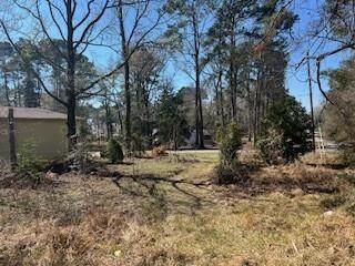 Property Photo:  Tbd Apple Tree  TX 77351 