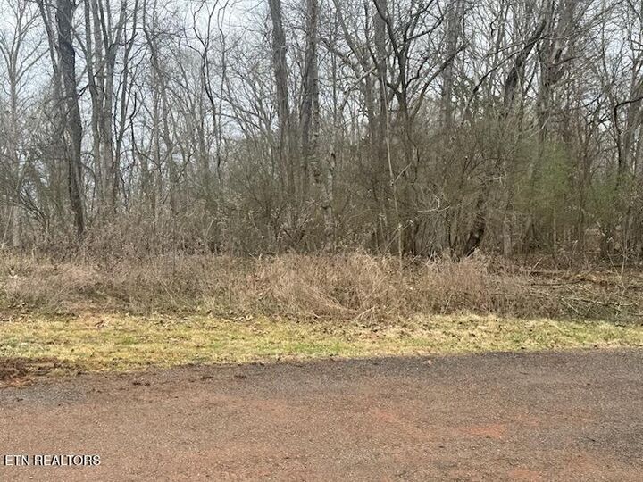 Property Photo:  110 Eblen Lane  TN 37763 