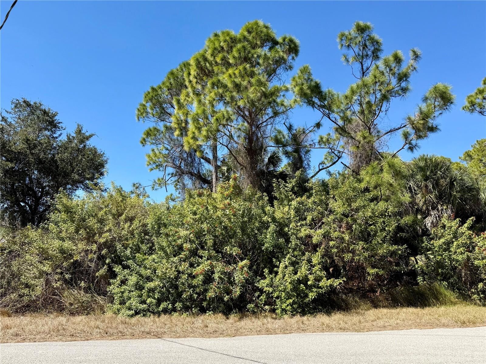 Property Photo: Baker Road FL 34288