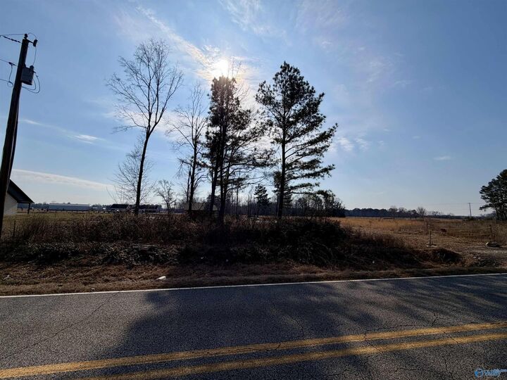 Property Photo:  20076 Edgewood Road  AL 35614 