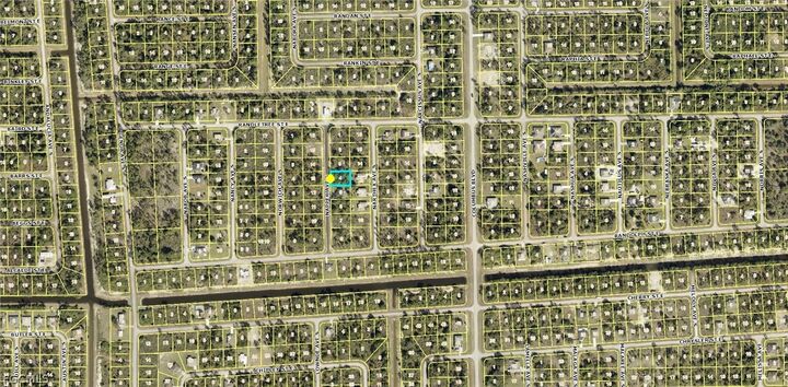 Property Photo:  237 Napper Avenue S  FL 33974 