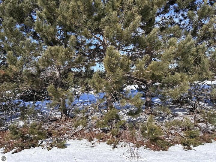 Property Photo:  Honor Highway  MI 49643 