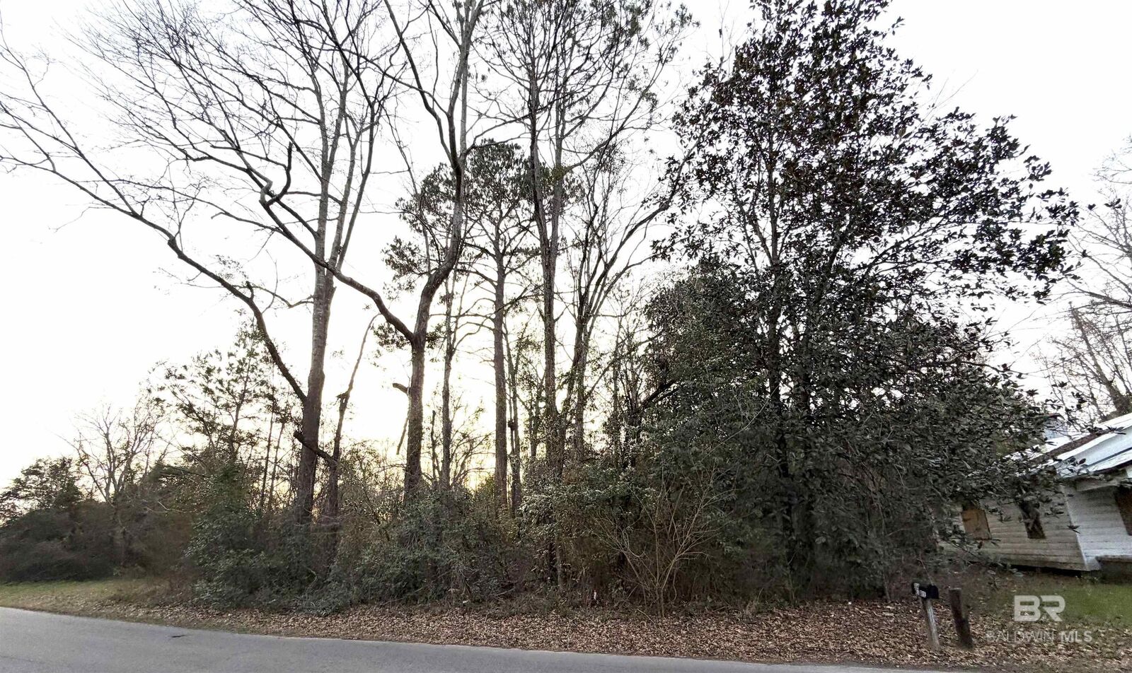 Property Photo:  Lt 11 Blk 3 Martin Luther King Drive  AL 36427 