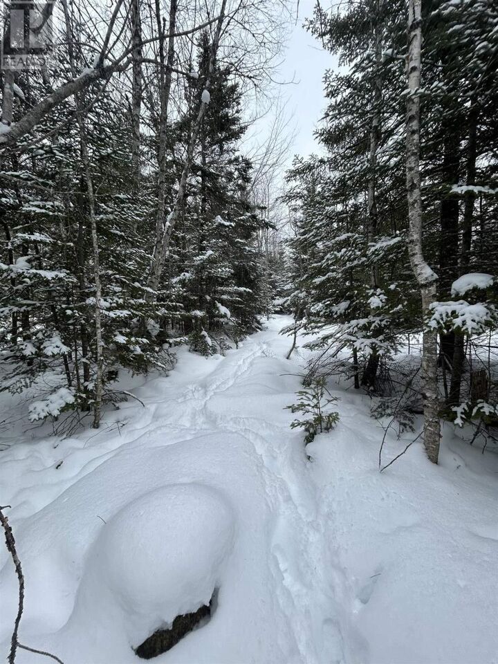 Photo de la propriété:  2 Highway 289  NS B0N 1C0 