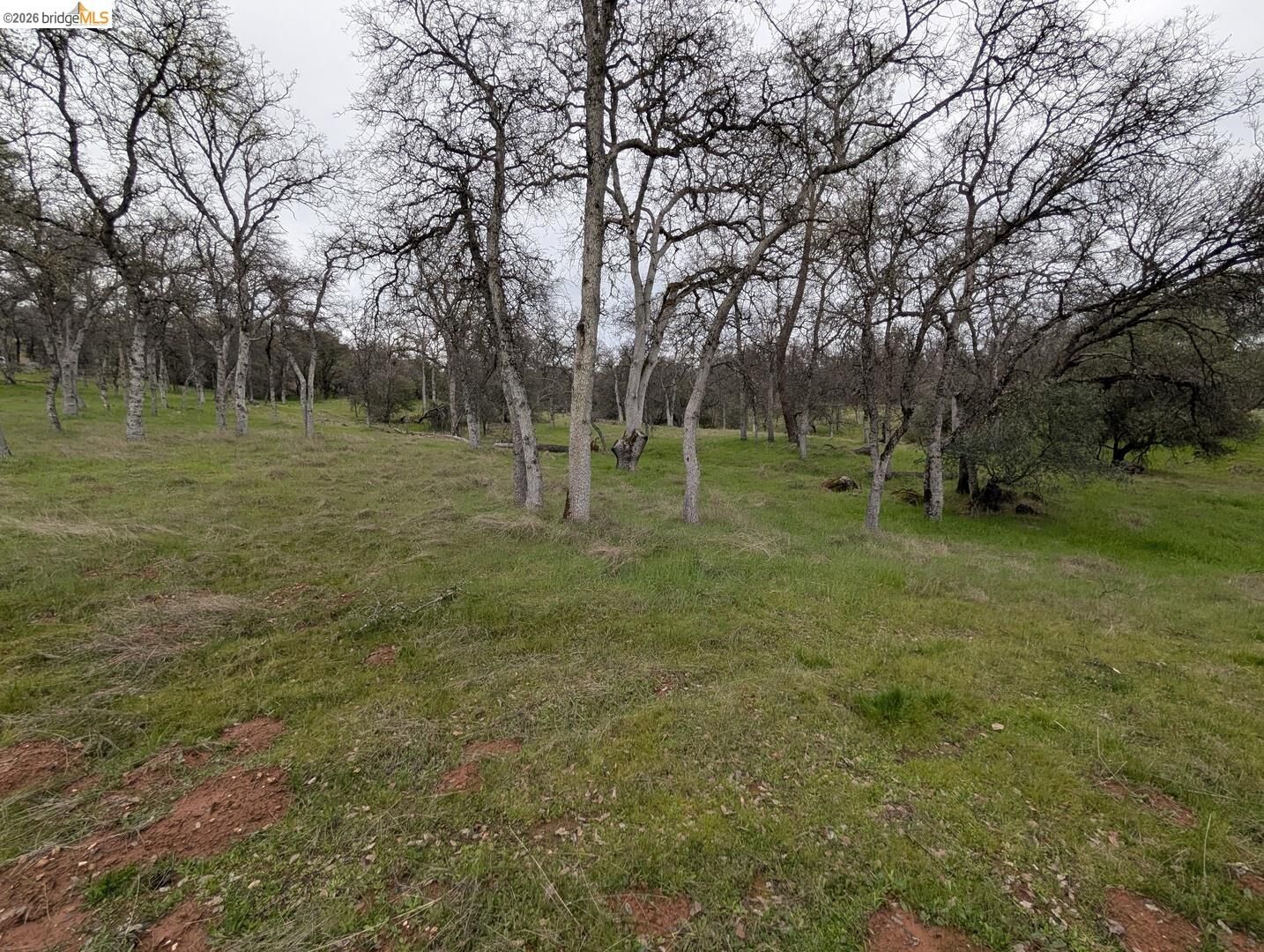 Property Photo:  18340 Henry D Ct  CA 95370 