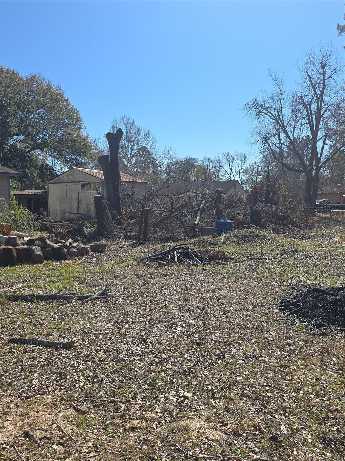 Property Photo:  914 Reeves Street  TX 77301 