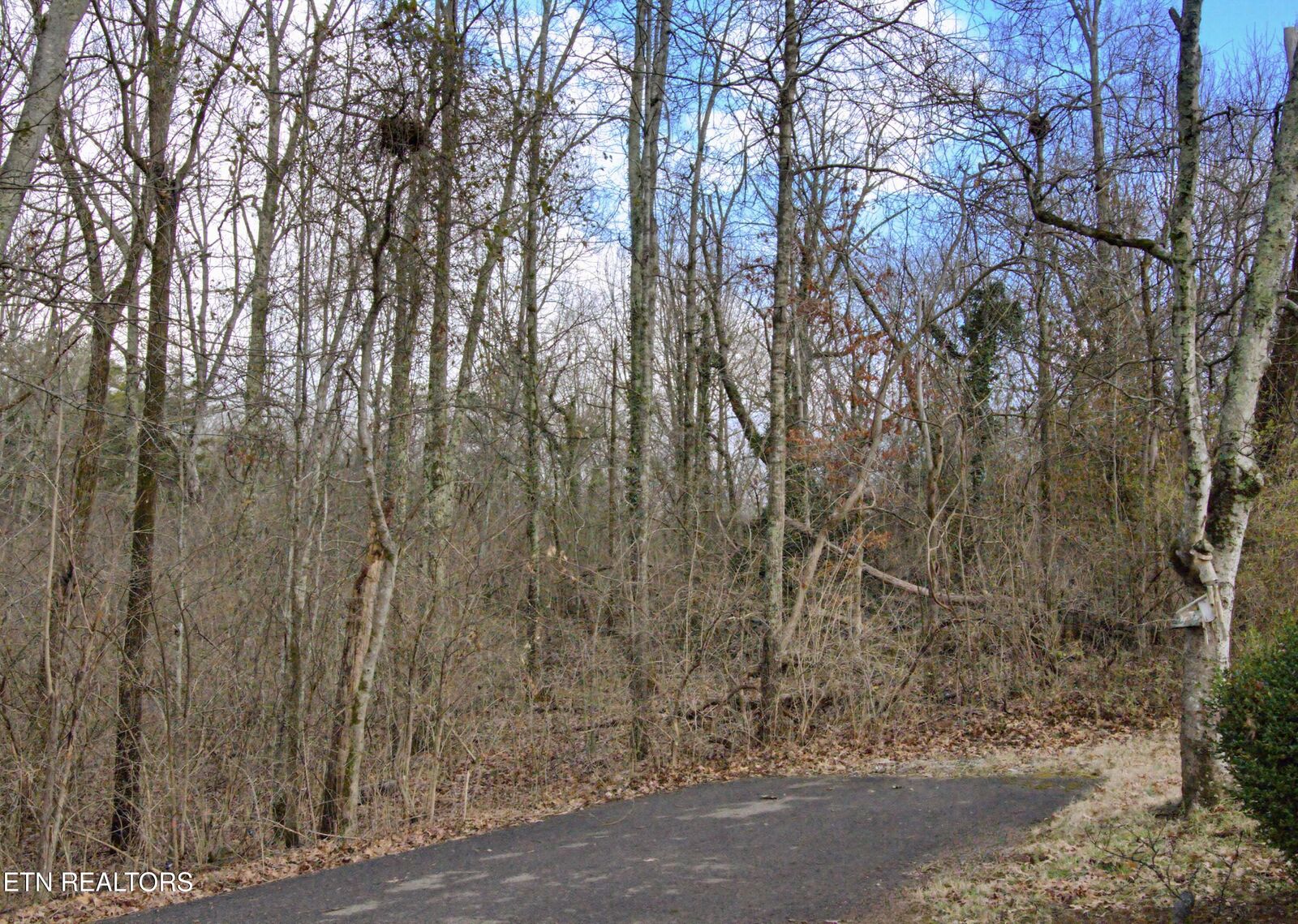 Property Photo:  756 & 758 Hialeah Drive  TN 37920 