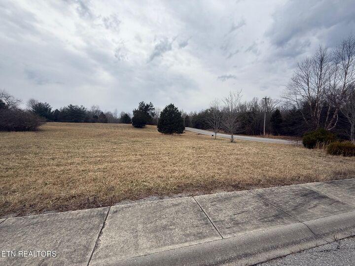 Property Photo:  Maple Point Lane - Lot 1 & 2  TN 38555 