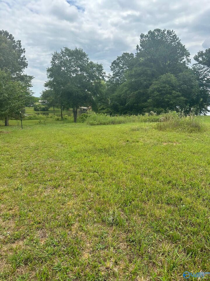 Property Photo:  836 County Road 359  AL 35983 