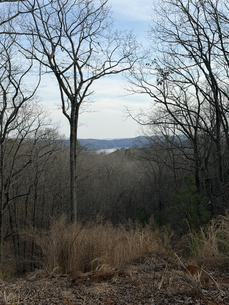 Property Photo:  439 Buck Creek Road  GA 30540 