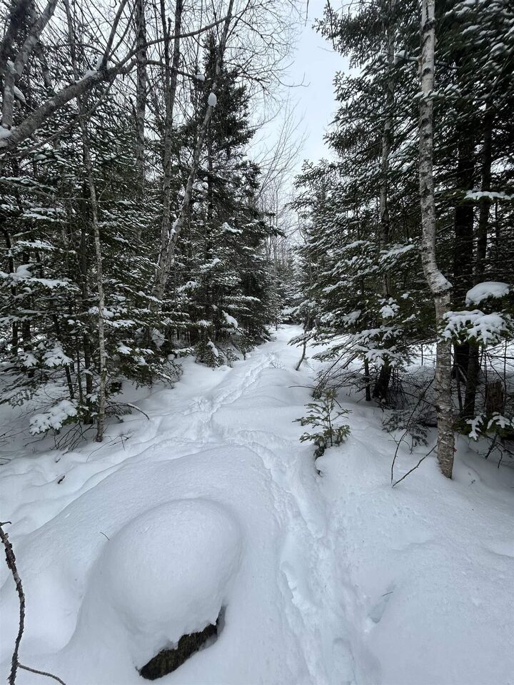 Photo de la propriété:  2 Highway 289 Highway  NS B0N 1C0 