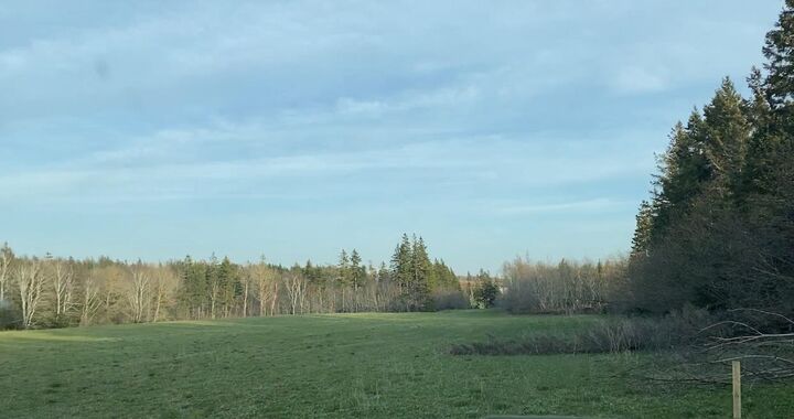 Property Photo:  Lot Stead Road - 7.8 Waterfront  PE C0A 1N0 