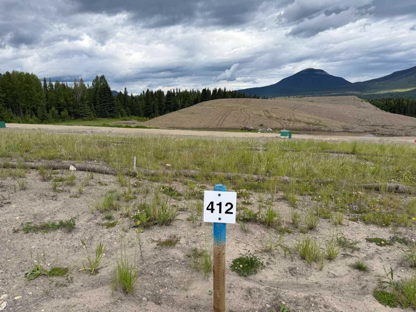 Property Photo: 412 Lily Avenue AB T0M 2H0