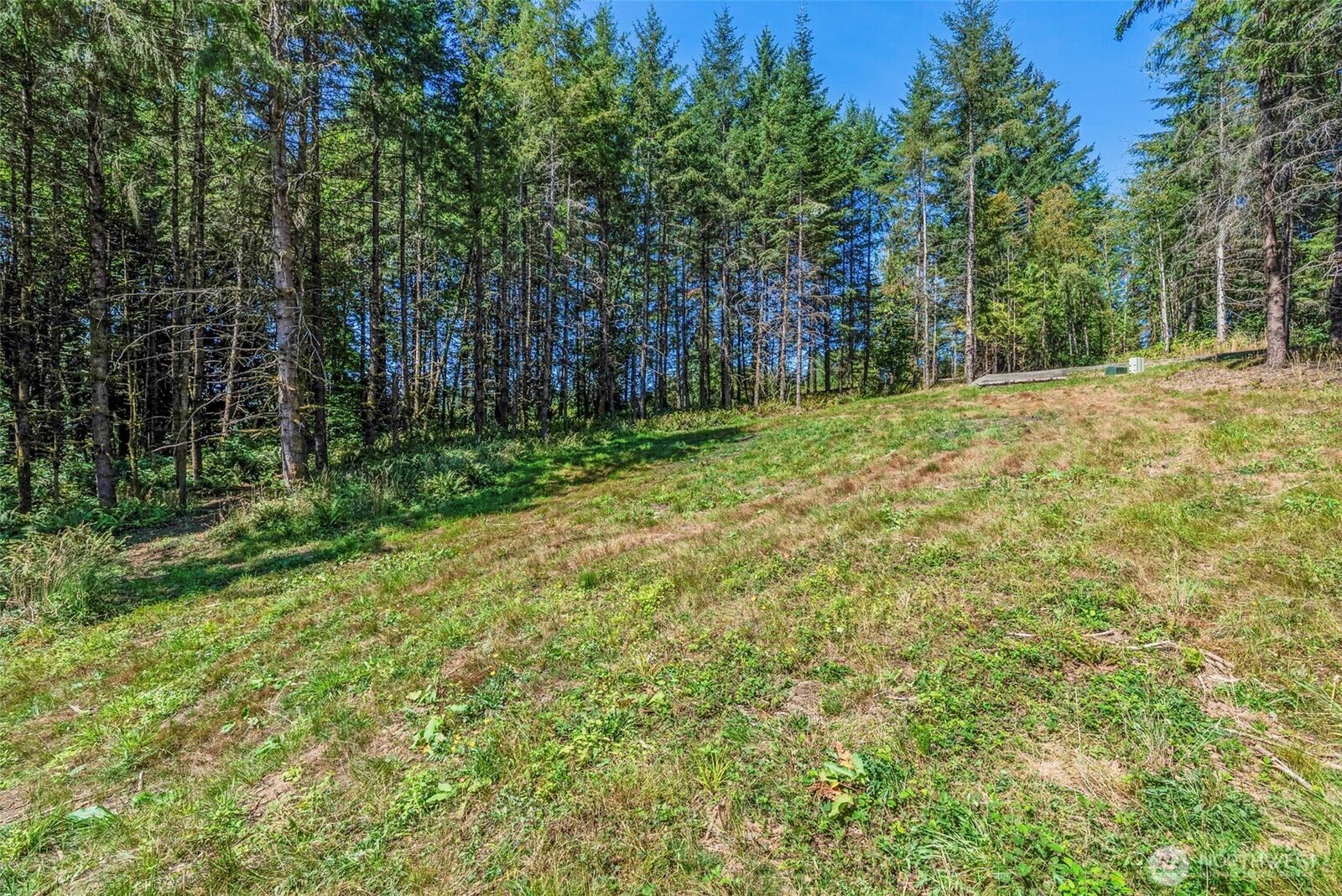 Property Photo: 0 Old Tree Farm Drive 1 WA 98632