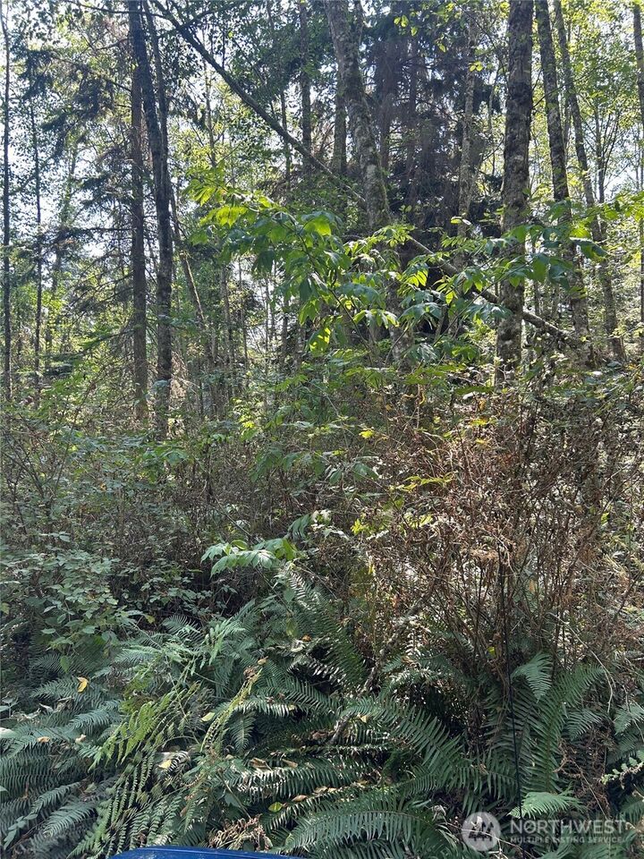 Property Photo:  0 Xxx  Forest View Lane  WA 98253 