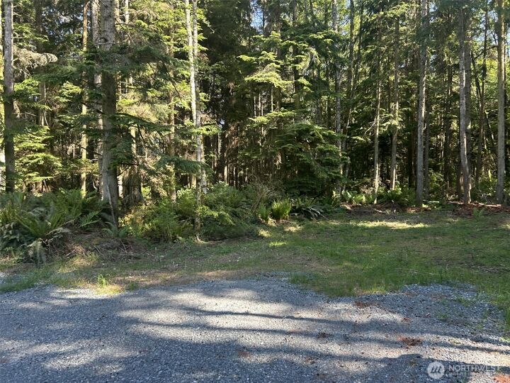 Property Photo: 0 Xxx Forest View Lane WA 98253
