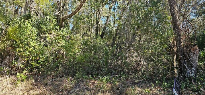 Property Photo:  939 N Sonia Avenue  FL 34453 