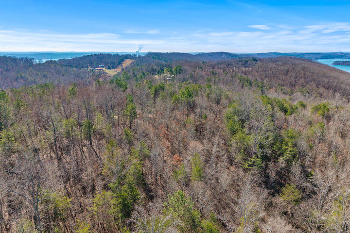 Property Photo:  0 Ware Farms Road  TN 37381 