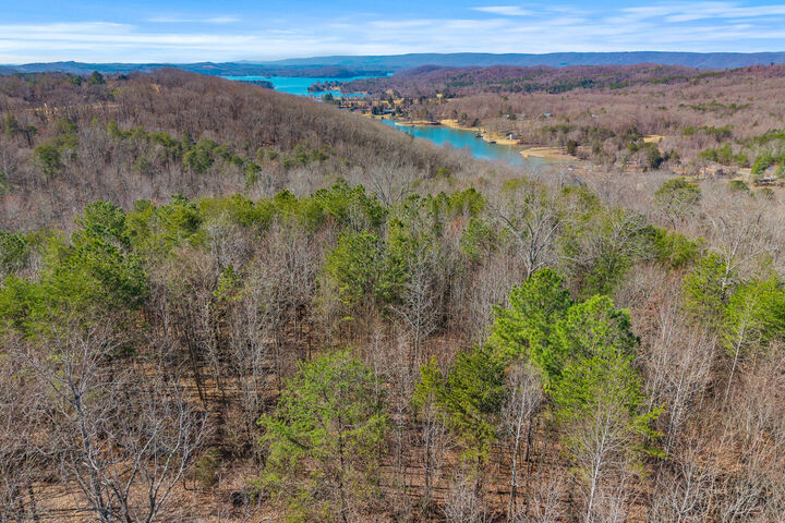 Property Photo: 0 Ware Farms Road TN 37381